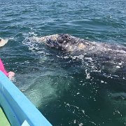 IMG 0001 2 (358)